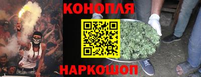 PSILOCYBIN Бугуруслан