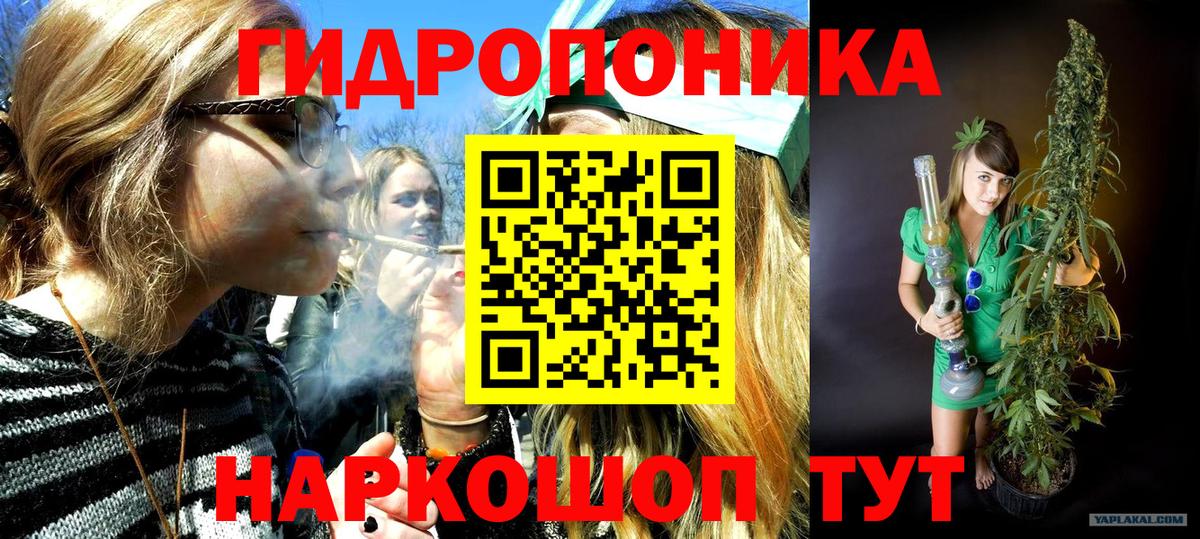 Канабис SATIVA & INDICA Сатка